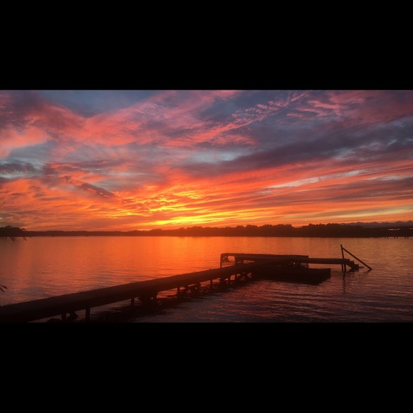 Meet Posher Erica - Picture 3 of 7